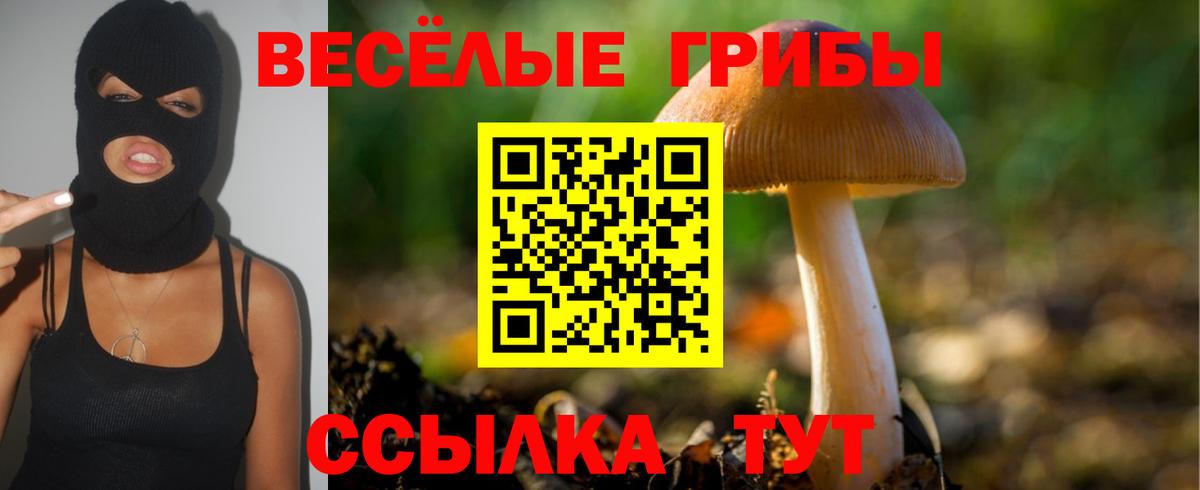 Галлюциногенные грибы Magic Shrooms Ликино-Дулёво